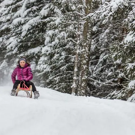Apartment Haus Viktoria Längenfeld