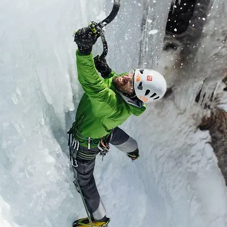 Haus Viktoria Apartment