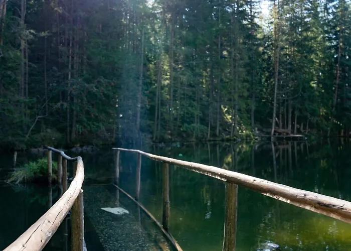 Haus Viktoria 公寓 *