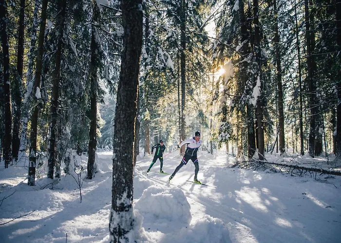 公寓 Haus Viktoria *