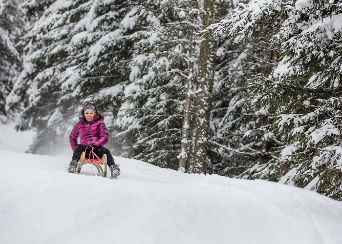 公寓 Haus Viktoria 朗根费尔德