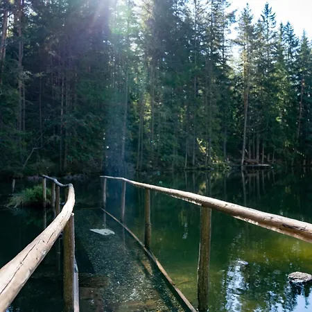 Haus Viktoria Daire *