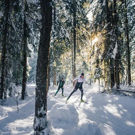 Daire Haus Viktoria *